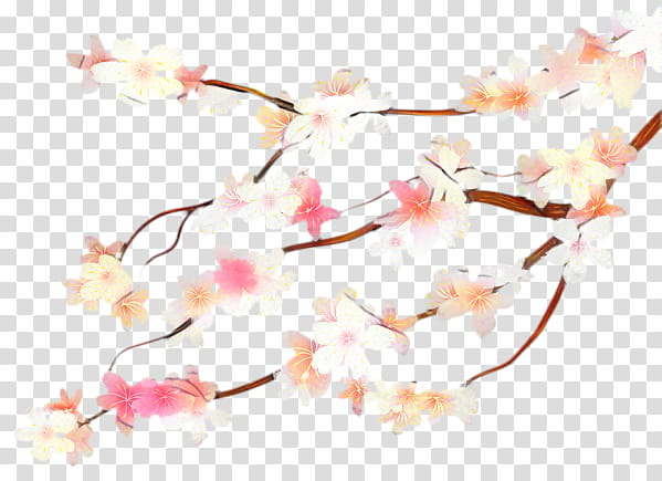 Cherry Blossom, Stau150 Minvuncnr Ad, Floral Design, Petal, Cherries, Pink M, Spring Framework, Flower transparent background PNG clipart