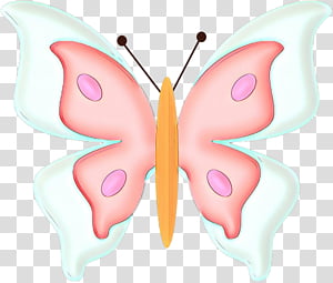 butterfly pink moths and butterflies insect,  Cartoon, Wing, Pollinator, Symmetry transparent background PNG clipart thumbnail