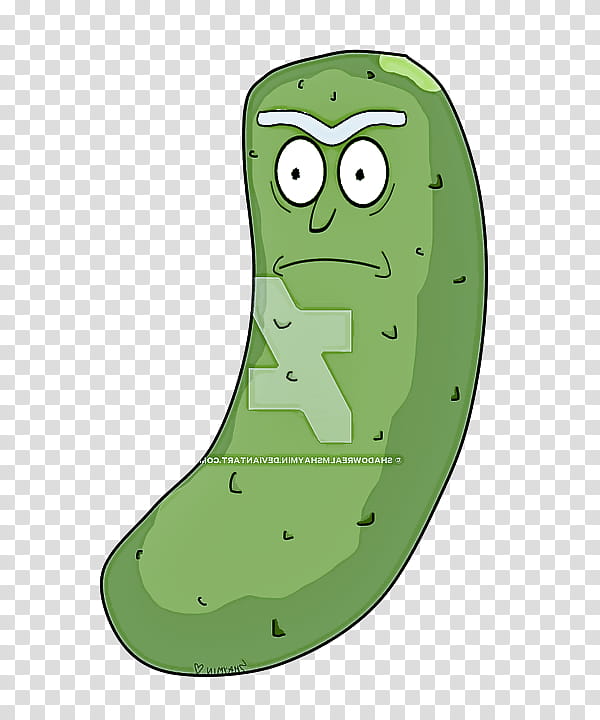 Cactus, Green, Plant, Vegetable, Cucumber, Potato, Food transparent background PNG clipart
