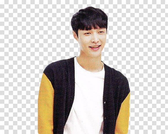 LAY EXO S transparent background PNG clipart