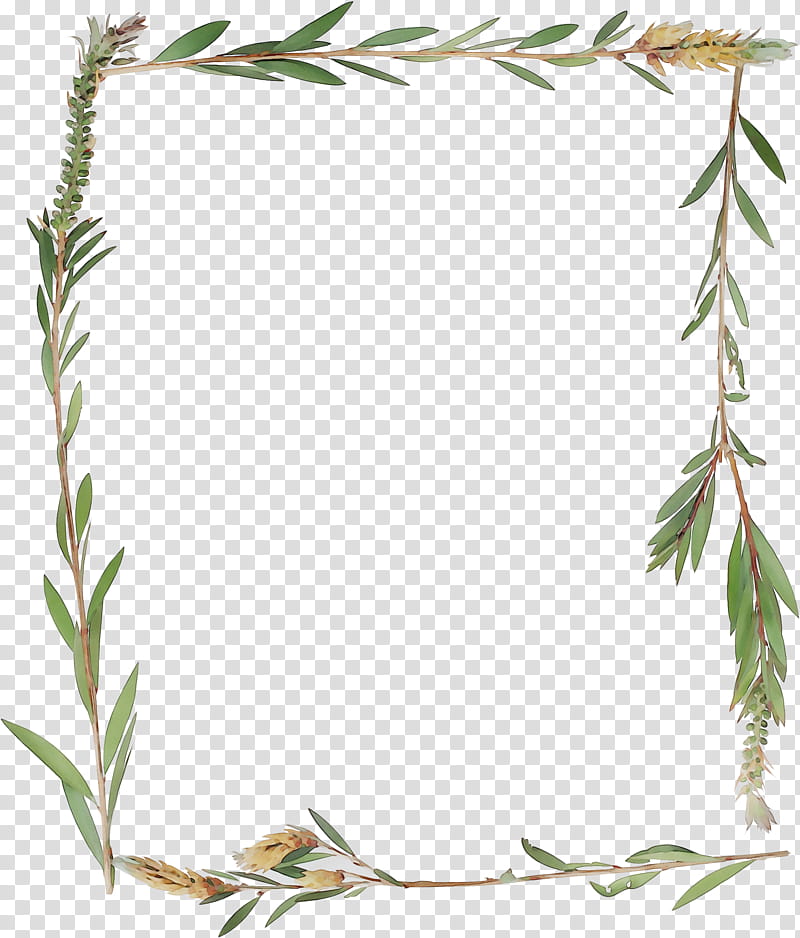 Background Flower Frame, Frames, Plant Stem, Leaf, Grasses, Twig, Vascular Plant transparent background PNG clipart