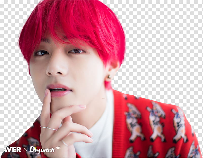 BTS XMAS DISPATCH  transparent background PNG clipart