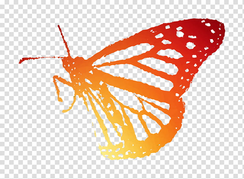 Monarch Butterfly, Brushfooted Butterflies, Moth, Line, Tiger Milkweed Butterflies, Moths And Butterflies, Insect, Pollinator transparent background PNG clipart