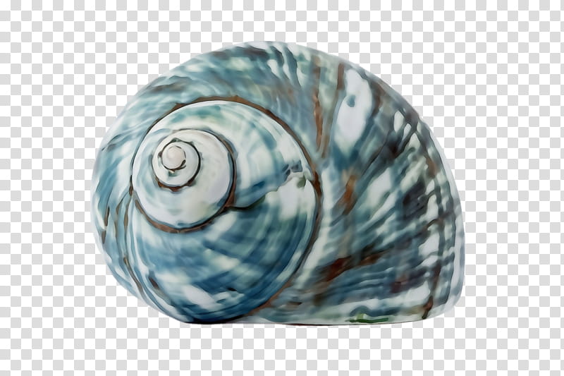 shell turquoise aqua sea snail snail, Watercolor, Paint, Wet Ink, Spiral, Snails And Slugs, Glass transparent background PNG clipart