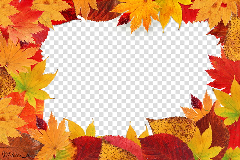 frame autumn leaves, yellow and orange leaves transparent background PNG clipart