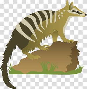 Fox, RED Fox, Numbat, Animal, Wildlife, Dinosaur, Tail, EXTINCTION transparent background PNG clipart thumbnail