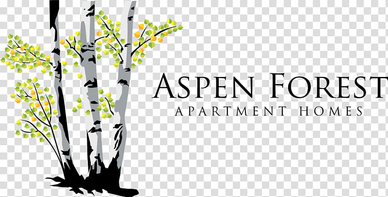 Floral Flower, Logo, Twig, Aspen, Tree, Text, Branch, Line transparent background PNG clipart