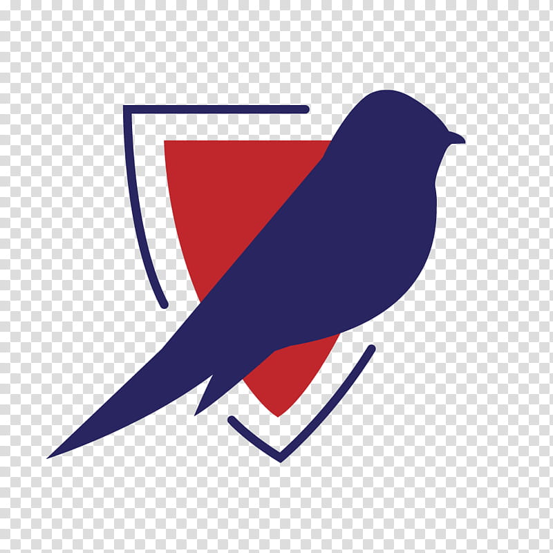 Swallow Bird, Episcopal School Of Nashville, School
, Logo, Education
, Student, Episcopal Church, National Primary School transparent background PNG clipart