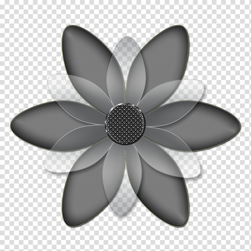 Decorative flowerses in, gray and white flower art transparent background PNG clipart