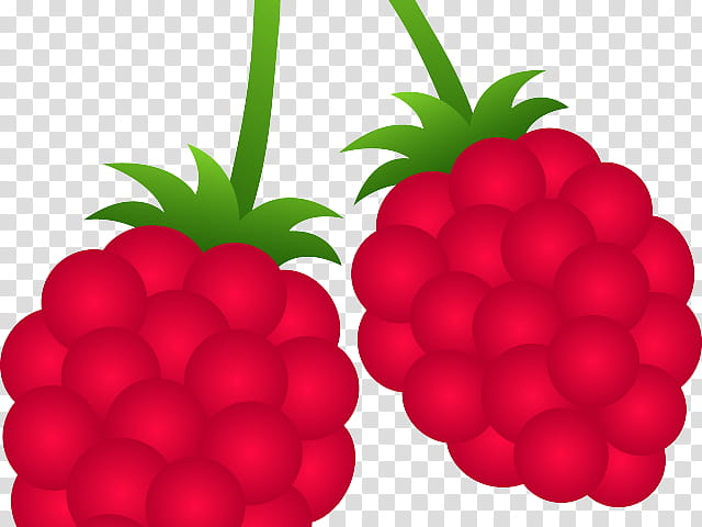 Pineapple, Berries, Raspberry, Fruit, Blackberry, Black Raspberry, Strawberry, Drawing transparent background PNG clipart