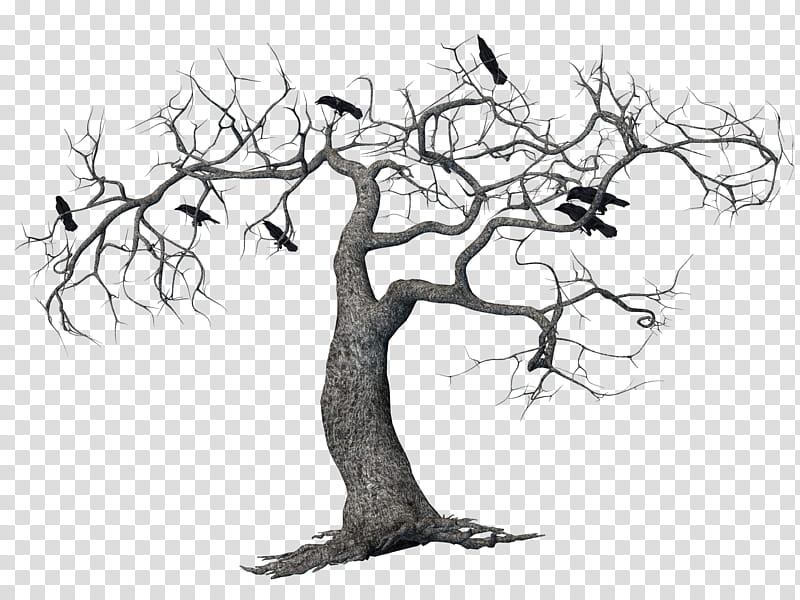 Crows Mega , baretree with birds transparent background PNG clipart
