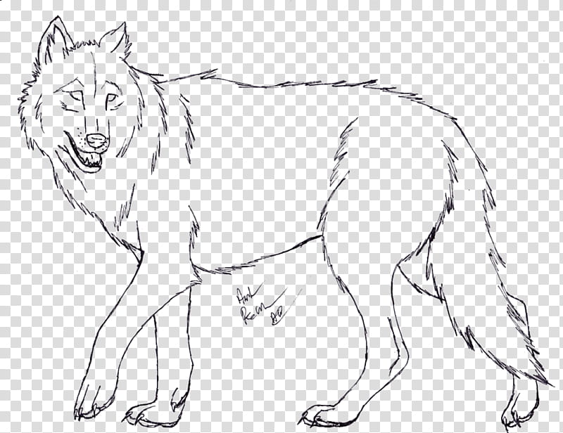 Wolf Lineart, FREE, black wolf sketch transparent background PNG clipart