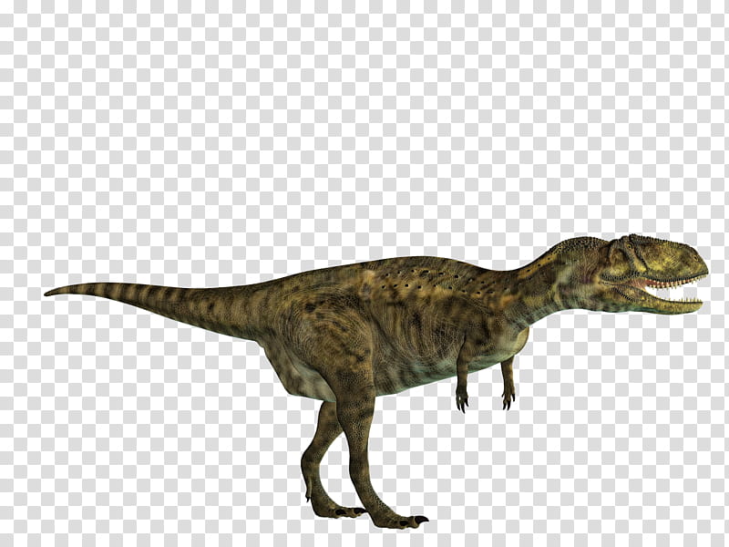 Dinosaurs Set , green T-Rex dinosaur transparent background PNG clipart