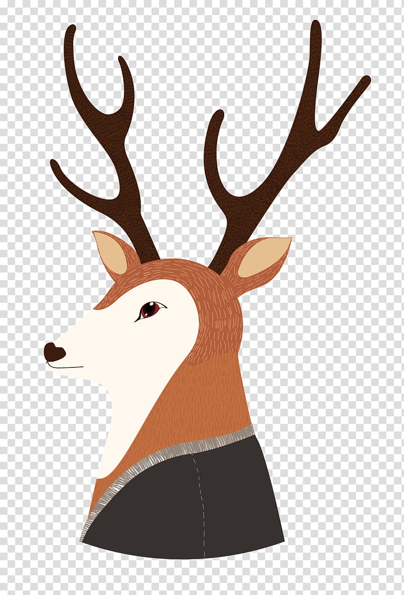 Reindeer, Antler, Horn, Wildlife transparent background PNG clipart