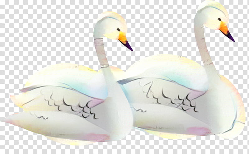 Duck, Beak, Swan, Bird, Water Bird, Ducks Geese And Swans, Waterfowl, Goose transparent background PNG clipart