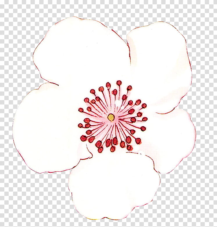 From Sakura Card Captor transparent background PNG clipart