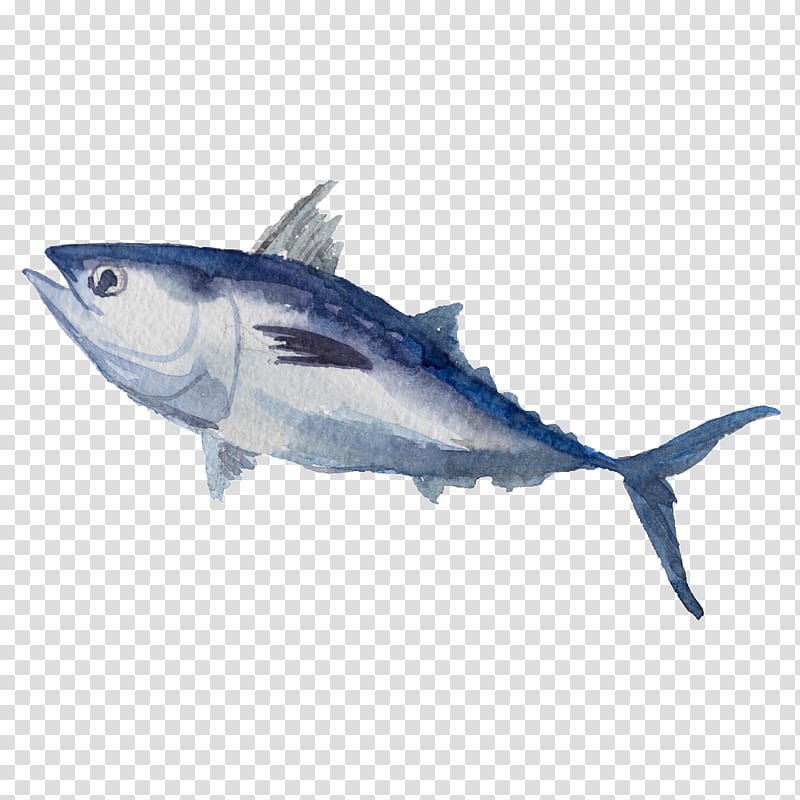 Watercolor, Watercolor Painting, Drawing, Canvas, Fish, Atlantic Bluefin Tuna, Thunnus, Albacore Fish transparent background PNG clipart