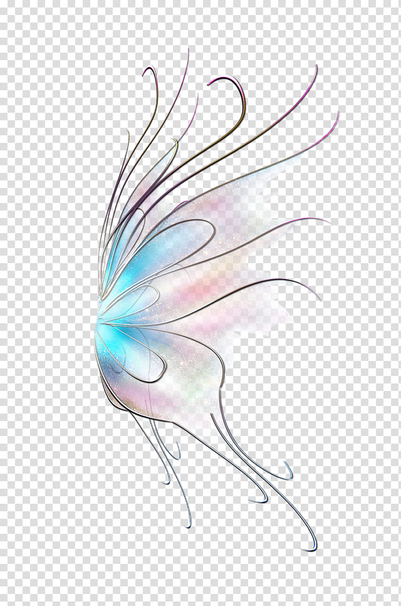 Fairy Wings Transparent Background Png Cliparts Free Download Hiclipart