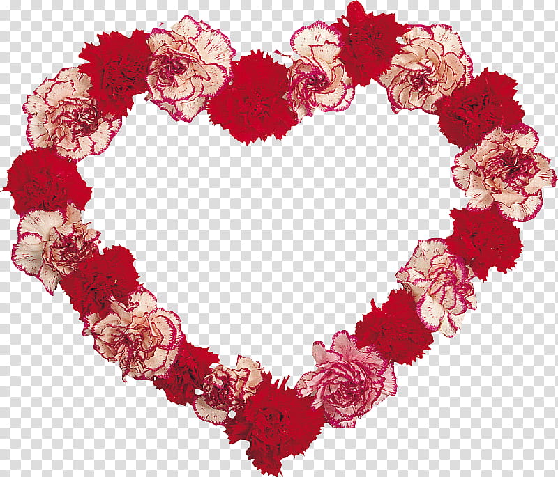 Valentines Day Heart, Floral Design, Carnation, Flower, China Pink, Petal, Nosegay, Creativity transparent background PNG clipart