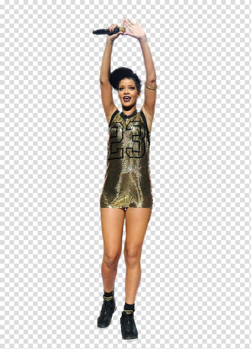 Robyn Rihanna Fenty transparent background PNG clipart