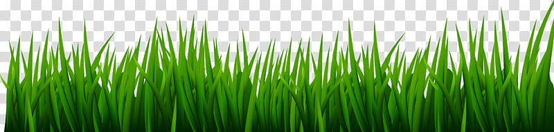 Green Grass, BORDERS AND FRAMES, Golf, Golf Course, Golf Clubs, Golf Tees, Lawn, Golf Balls transparent background PNG clipart