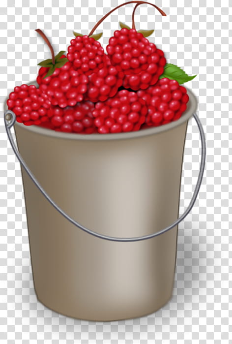Fruit, Raspberry, Red Raspberry, Berries, Blackberry, Boysenberry, Rubus Illecebrosus, Strawberry transparent background PNG clipart