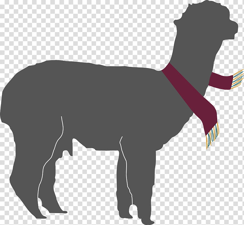 Dog And Cat, Mustang, Camel, Pony, Breed, Animal, Equus, Horse transparent background PNG clipart