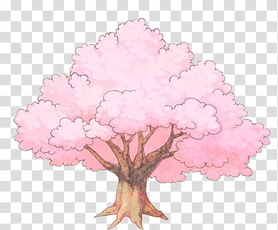 OD de flores , pink tree illustration transparent background PNG clipart