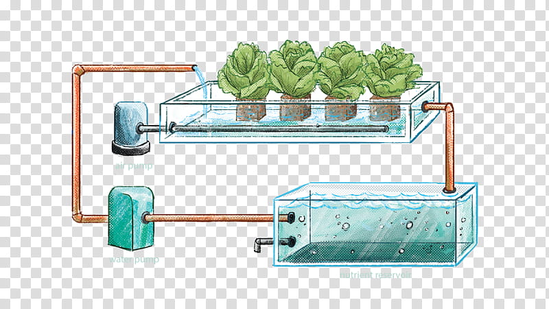 Hydroponics Aquaponics Nutrient Substrate Coir, Soil, Root, Peat, Plants, Water, Idea, Shelf transparent background PNG clipart