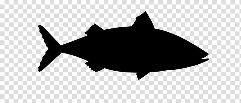 Shark Fin, Silhouette, Black M, Fish, Bonyfish, Tuna transparent background PNG clipart