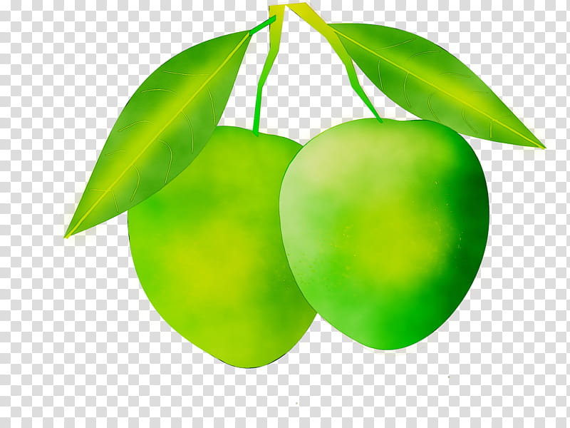 Green Leaf, Mango, Aam Panna, Mangifera Indica, Sharbat, Ugadi, Food, Fruit transparent background PNG clipart