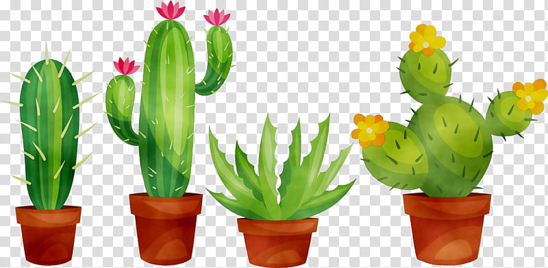 Flower With Stem, Cactus, Succulent Plant, Designing With Succulents, Cartoon, Line Art, Echeveria Lilacina, Flowerpot transparent background PNG clipart