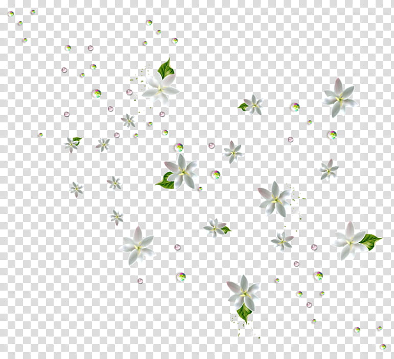 Floral Spring Flowers, Green, , Winter
, Spring
, Flowers Falling, Floral Design, Overlay transparent background PNG clipart