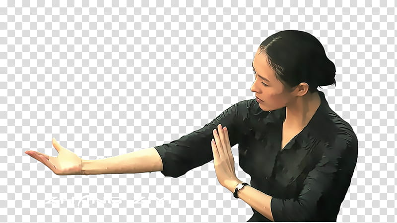 Zhang Ziyi transparent background PNG clipart