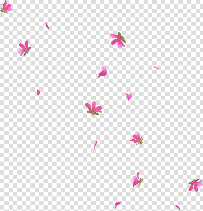 pink petal text magenta pedicel, Flower, Plant transparent background PNG clipart