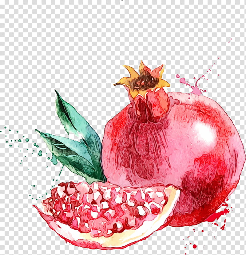 pomegranate fruit natural foods food plant, Watercolor, Paint, Wet Ink, Pomegranate Juice, Accessory Fruit, Superfood transparent background PNG clipart
