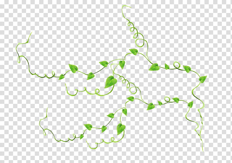 Background Green Ribbon, Motif, White Ribbon, Project, Black, Black And White
, Leaf, Flora transparent background PNG clipart