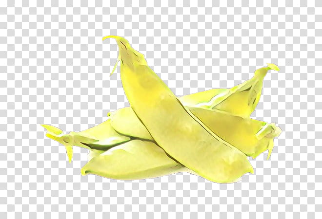 yellow plant food legume fruit, Banana, Vegetable, Banana Family transparent background PNG clipart