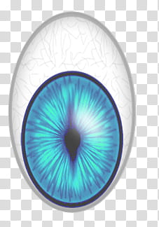 animals eyes, blue eye art transparent background PNG clipart