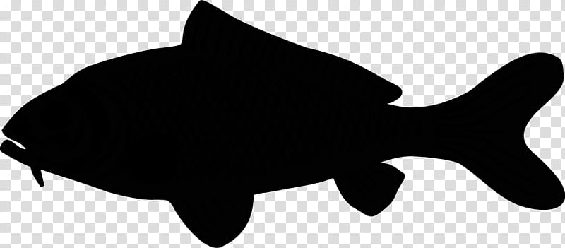 Animal, Black White M, Silhouette, Fish, Black M, Fin, Bonyfish, Tail transparent background PNG clipart