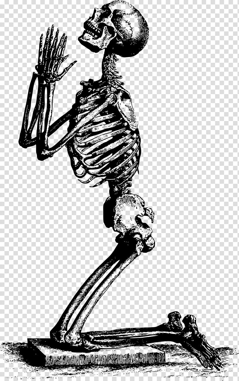 Human Skull Drawing, Human Skeleton, Prayer, Tshirt, Praying Hands, Zazzle, Anatomy, Human Body transparent background PNG clipart