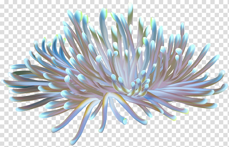 coral reef clipart png bed