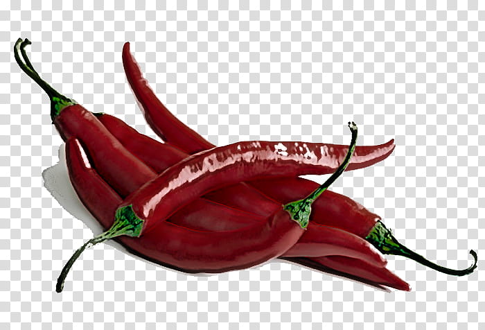 chili pepper tabasco pepper serrano pepper vegetable malagueta pepper, Cayenne Pepper, Plant, Peperoncini, Birds Eye Chili transparent background PNG clipart