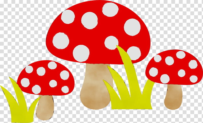 Gift, Mushroom, Fungus, Common Mushroom, Indigo Milk Cap, Mug, Humour, Mushroom Hunting transparent background PNG clipart