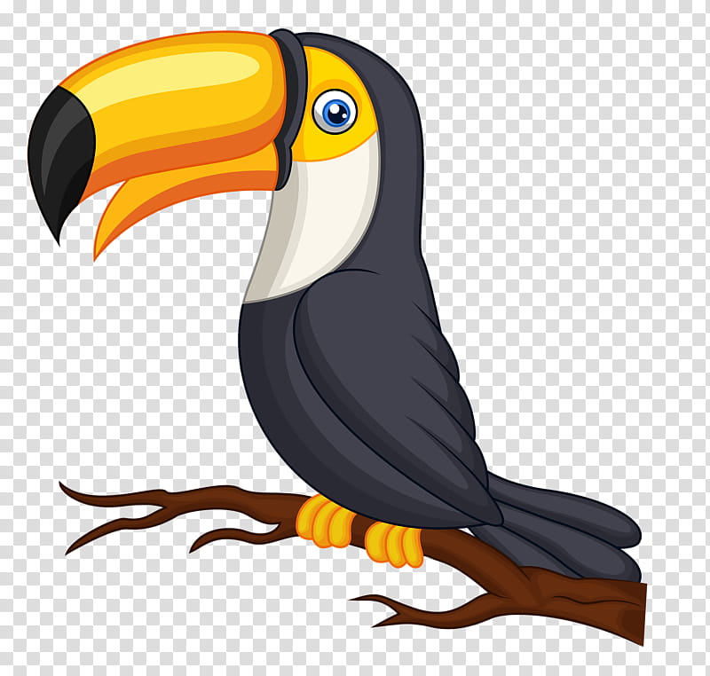 Hornbill Bird, Parrot, Toucan, Toco Toucan, Toucanet, Bird Illustrations, Animal, Macaw transparent background PNG clipart