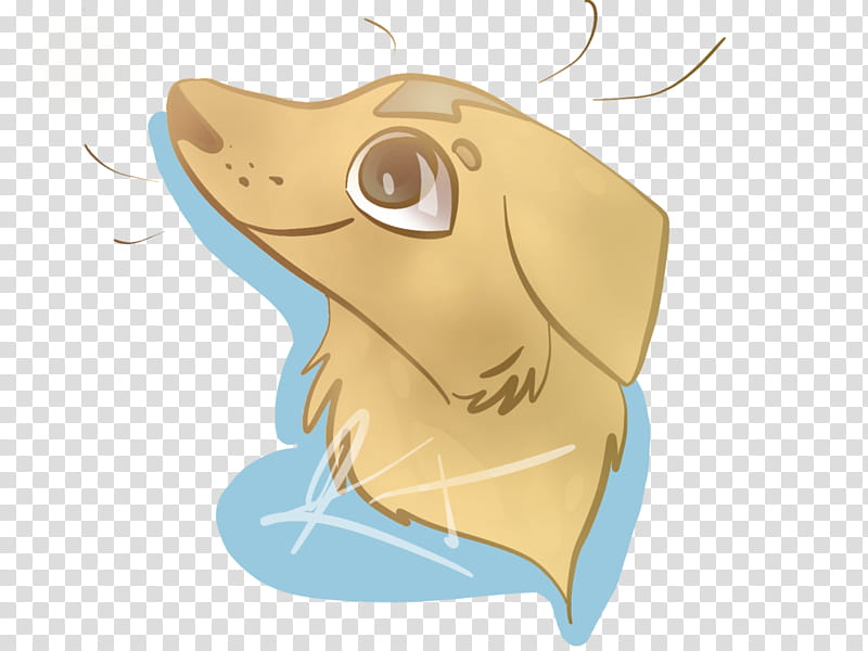 Fish, Nose, Ear, Jaw, Microsoft Azure, Head transparent background PNG clipart