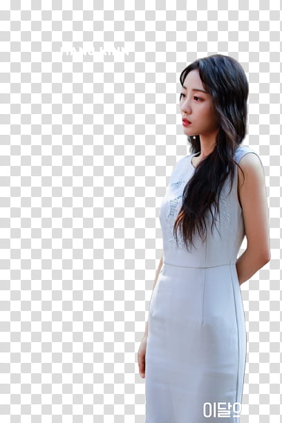 Loona transparent background PNG clipart