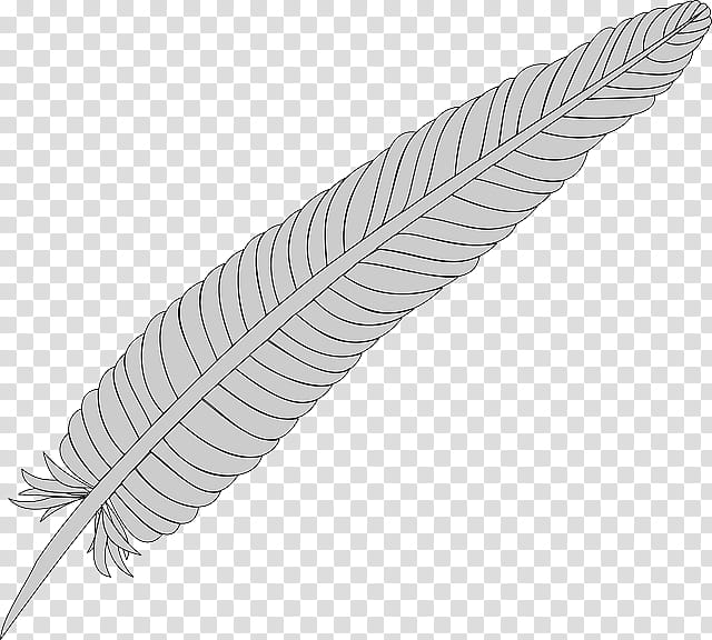Bird Line Drawing, Feather, Pheasant, Peafowl, Pink Feather, Ringnecked Pheasant, Eagle Feather Law, Pin Feather transparent background PNG clipart