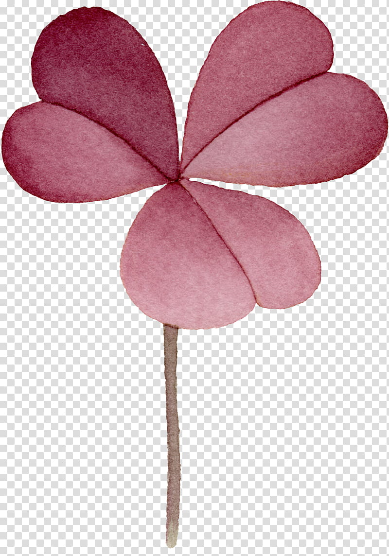 Pink Flower, Alfalfa, Red Clover, Leaf, Watercolor Painting, Medick, Petal, Plant transparent background PNG clipart