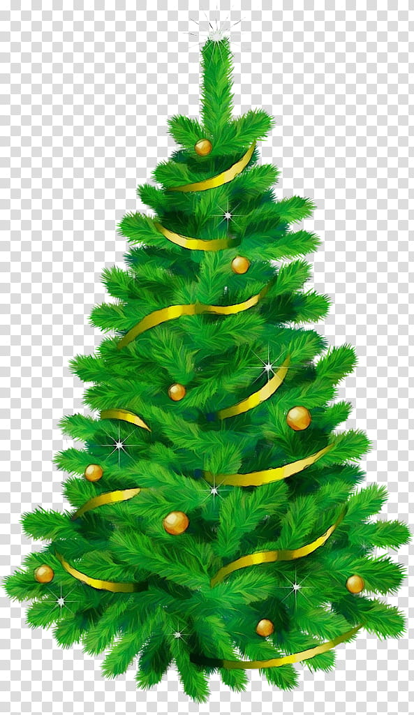 Christmas tree, Watercolor, Paint, Wet Ink, Shortleaf Black Spruce, Balsam Fir, Colorado Spruce, Yellow Fir, White Pine, Oregon Pine transparent background PNG clipart